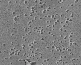 info-353-285 info-353-285